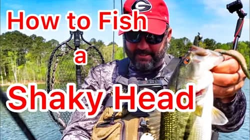 How to Fish a Shaky Head - Bass Fishing