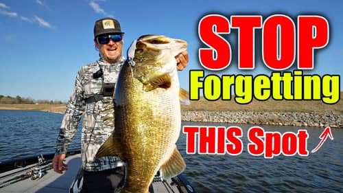 95% of Fisherman PASS UP the Most Consistent Spot to Catch GIANT Bass
