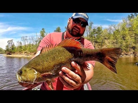 Bedding Bass in Dirty Water with a Subscriber