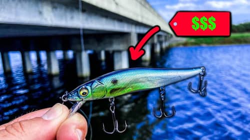 This Lure is Ridiculously EXPENSIVE But Worth Every Penny!