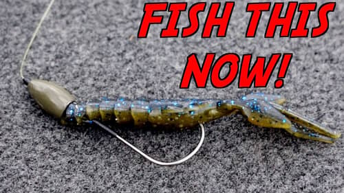 You NEED To TRY THIS Texas Rig for Summer Bass Fishing!