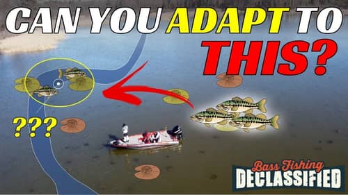 The 3 Circumstances That Can Lead To Your Best Fishing Trip