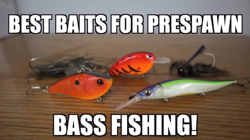 The BEST 5 Baits for Prespawn Bass Fishing! - Best Lures for Early Spring Bass Fishing!