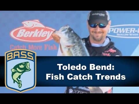 Toledo Bend: Fish Catch Trends