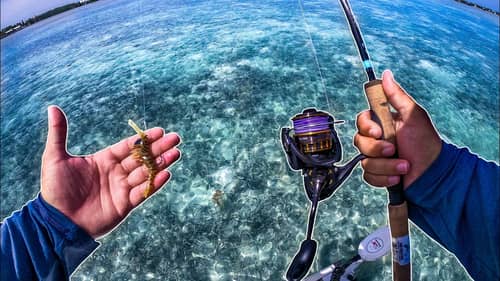 Catching Insanely Difficult Fish in Crystal Saltwater Flats in the Keys