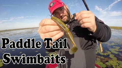 Paddle Tail Swimbaits - Bass Fishing