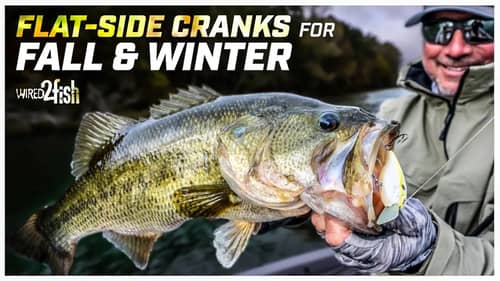 How to Fish Flat-Side Crankbaits in Grass | Fall and Winter