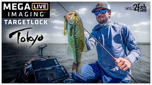 MEGA Live Imaging TargetLock 🎯 | How to Fish in the Wind