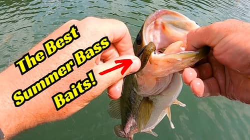 5 of My Favorite Summer Fishing Lures! They are Tied On Every Time I Go Bass Fishing!