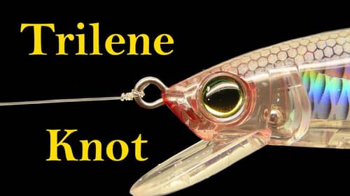 How to tie the Trilene knot