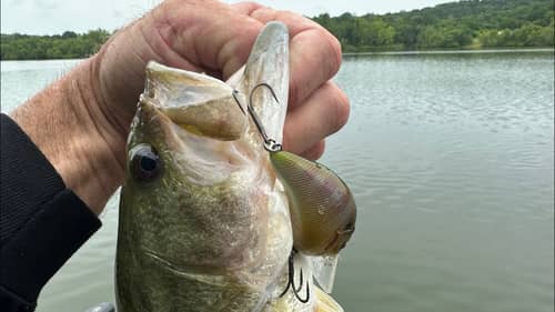 The Squarebill Crankbait Secet I Developed 7 Years Ago And Kept Silent…Until Now…