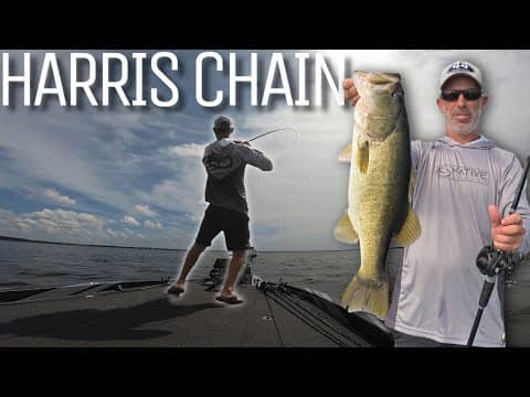 Fishing Offshore Hydrilla on the Harris Chain! Livescoping w/ Chatterbait, Jerkbait, & Punching Mats