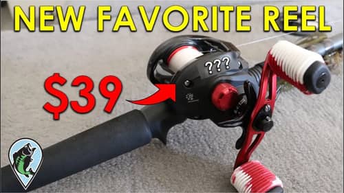 Stop Wasting Money on Expensive Fishing Reels | Abu Garcia Black Max Review