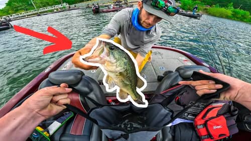 Scrambling For a limit in Spring Bass Fishing Tournament || Kerr Lake Bass Fishing