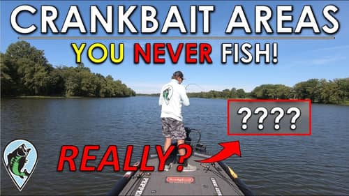 Fishing Against a Pro On His Home Lake | Jonny Vs. Randy Fish Off