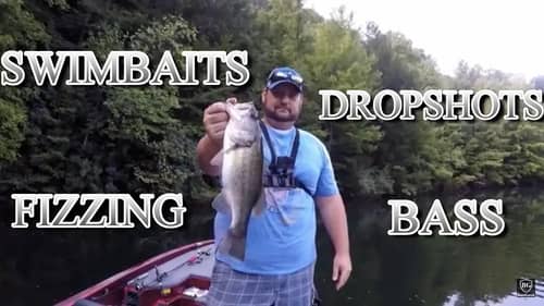 Swimbaits, Drop Shots, and How To Fizz a Bass In the Early Fall