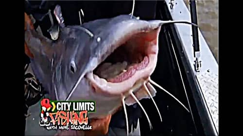 Mike Iaconelli's City Limits Fishing: St. Louis Catfish!!!
