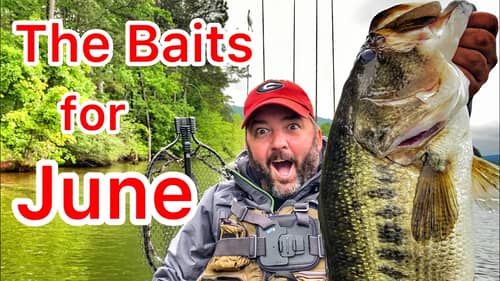 The Best Baits For June Bass Fishing
