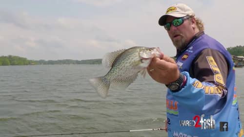 Find and Catch Crappie on Brush Piles in the Wind
