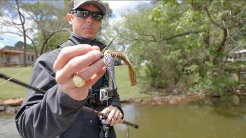 Is Fishing For Spawning Bass Wrong?