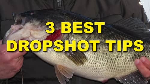 The Best Dropshot Tips (Because They Work!)  | Bass Fishing