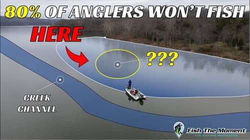 Don’t Miss This Overlooked Winter Bass Fishing Pattern