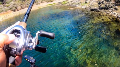 Bass Fishing: Finesse Tips For Fishing Crystal Clear Water!