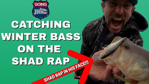 Catching Winter Bass on the SHAD RAP!!
