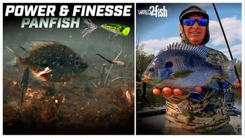 Fishing For Bluegills And Crappies With Power And Finesse