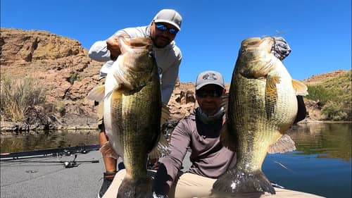 Two GIANT BASS At The SAME TIME!!
