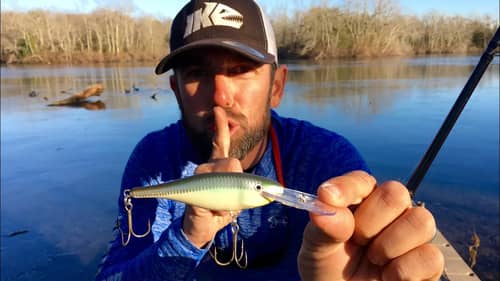 Modifying a Rapala Shad Rap to Catch More Bass! (ft. Mike Iaconelli)