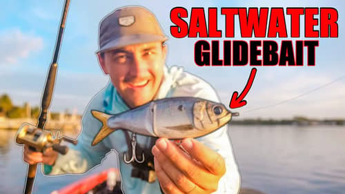 I Threw a Huge Glidebait in Saltwater and Fish CRUSHED It!