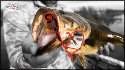 4 Spring Buzzbait Fishing Tips for Bass