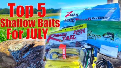 My Top 5 July Shallow Water Baits