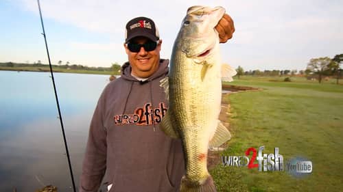 Keep Bank Fishing Simple for More BIG BASS like these!
