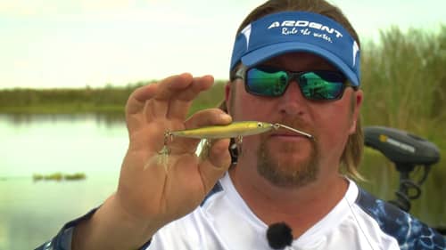 GIANT Florida Bass LOVE Topwater Prop Baits! Learn the Secrets