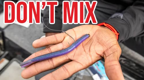 Keep Your SOFT Plastic Fishing Lures FRESH