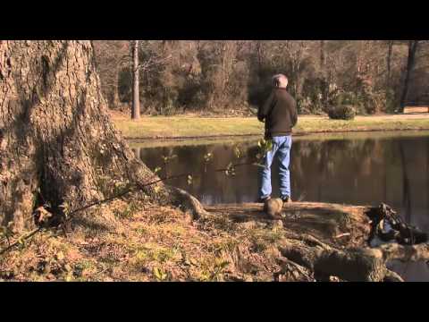Bass Fishing for Beginners: The Pond