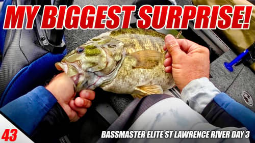 My Biggest Surprise of the Year!! - Bassmaster Elite St Lawrence River (Day 3) - UFB S3 E43
