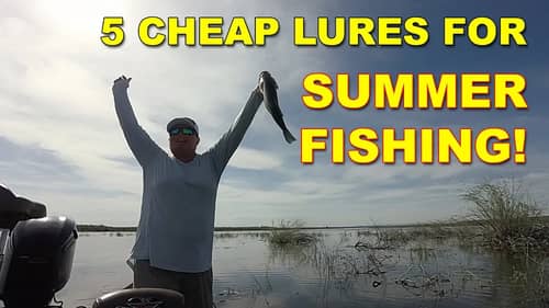 5 Cheap Summer Bass Fishing Lures That Work All Summer! | How To | Bass Fishing