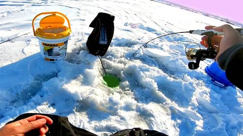 Ice Fishing HIDDEN Pond that's LOADED w/ Trophy Fish!!!