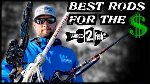 Buying Fishing Rods on a Budget: What You Need to Know
