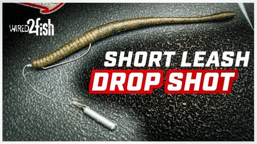Why a Short Drop Shot Rig is Better Than a Shaky Head