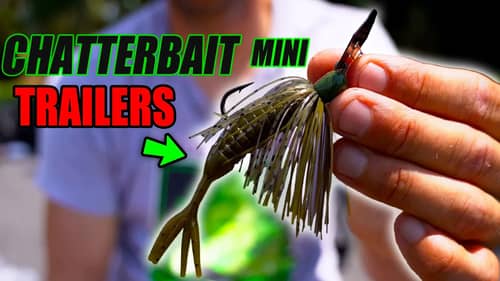 The ONLY CHATTERBAIT Mini Trailers You NEED to catch Fish in Fall