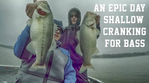 Lots of Cold Water Bass Cranking Shallow on Kentucky Lake!