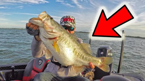 3 FISHING Lures that CATCH 10 pound BASS (I CAN PROVE IT!!!)