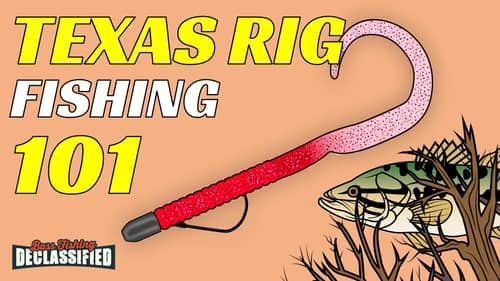 The #1 LURE To Catch Bass - Texas Rig Fishing 101