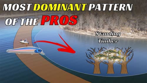 This Pattern is Taking Over Pro Fishing – Here’s How to Do It