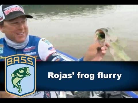Rojas' Lake Dardanelle frog flurry