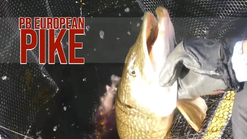 Boatside Pike Attacks - Big Pike Dreams Episode 6 Part 1 of 3